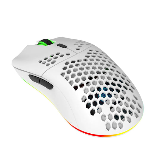 HXSJ T66 RGB Wireless Gaming Mouse | 2.4G Rechargeable with Adjustable DPI